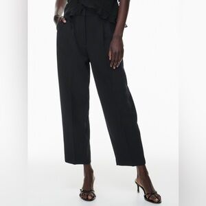 Aritzia Carrot Pants
